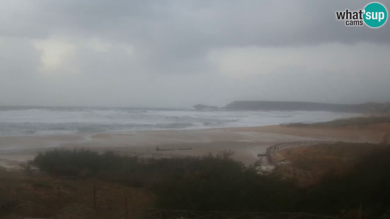 Web kamera Torre dei Corsari – Pogled uživo na plažu s Punta Usai