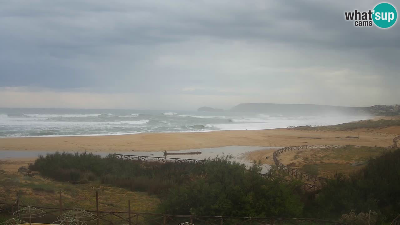 Webcam Torre dei Corsari – Live Beach View from Punta Usai