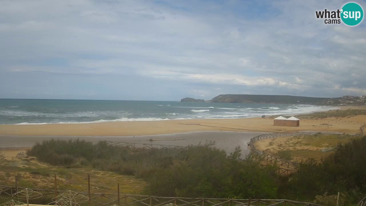 Webcam Torre dei Corsari – Live Beach View from Punta Usai