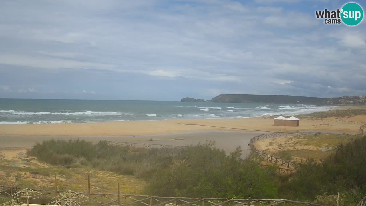 Web kamera Torre dei Corsari – Pogled uživo na plažu s Punta Usai
