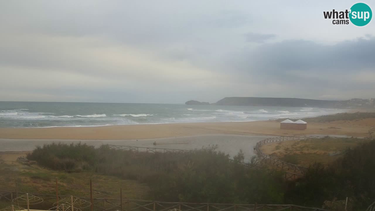 Webcam Torre dei Corsari – Live Beach View from Punta Usai