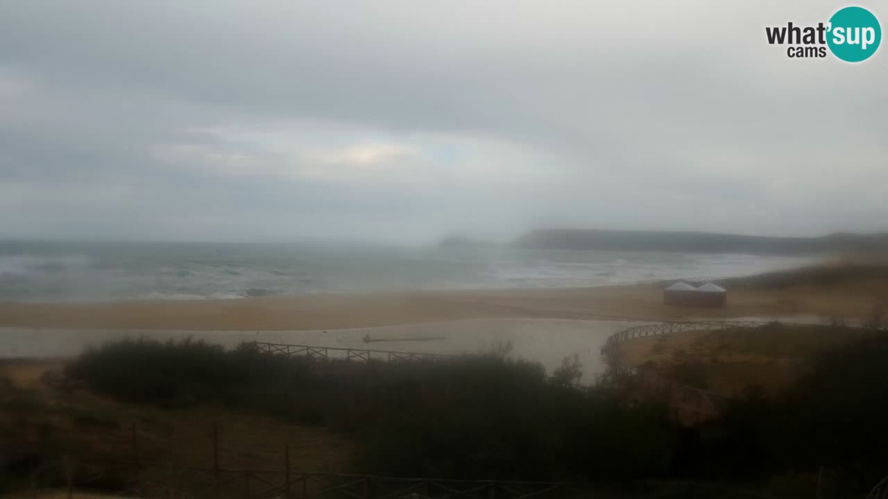 Webcam Torre dei Corsari – Live Beach View from Punta Usai