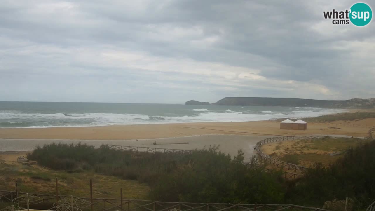 Webcam Torre dei Corsari – Live Beach View from Punta Usai
