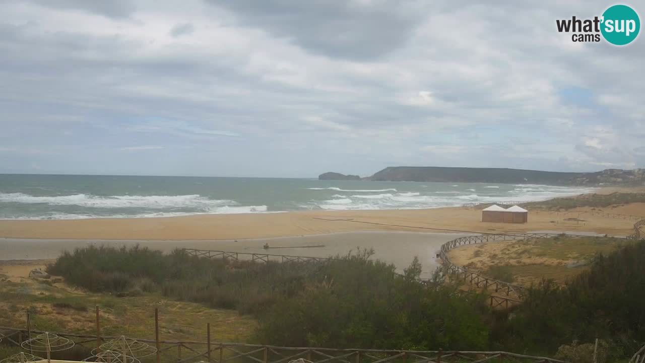 Web kamera Torre dei Corsari – Pogled uživo na plažu s Punta Usai