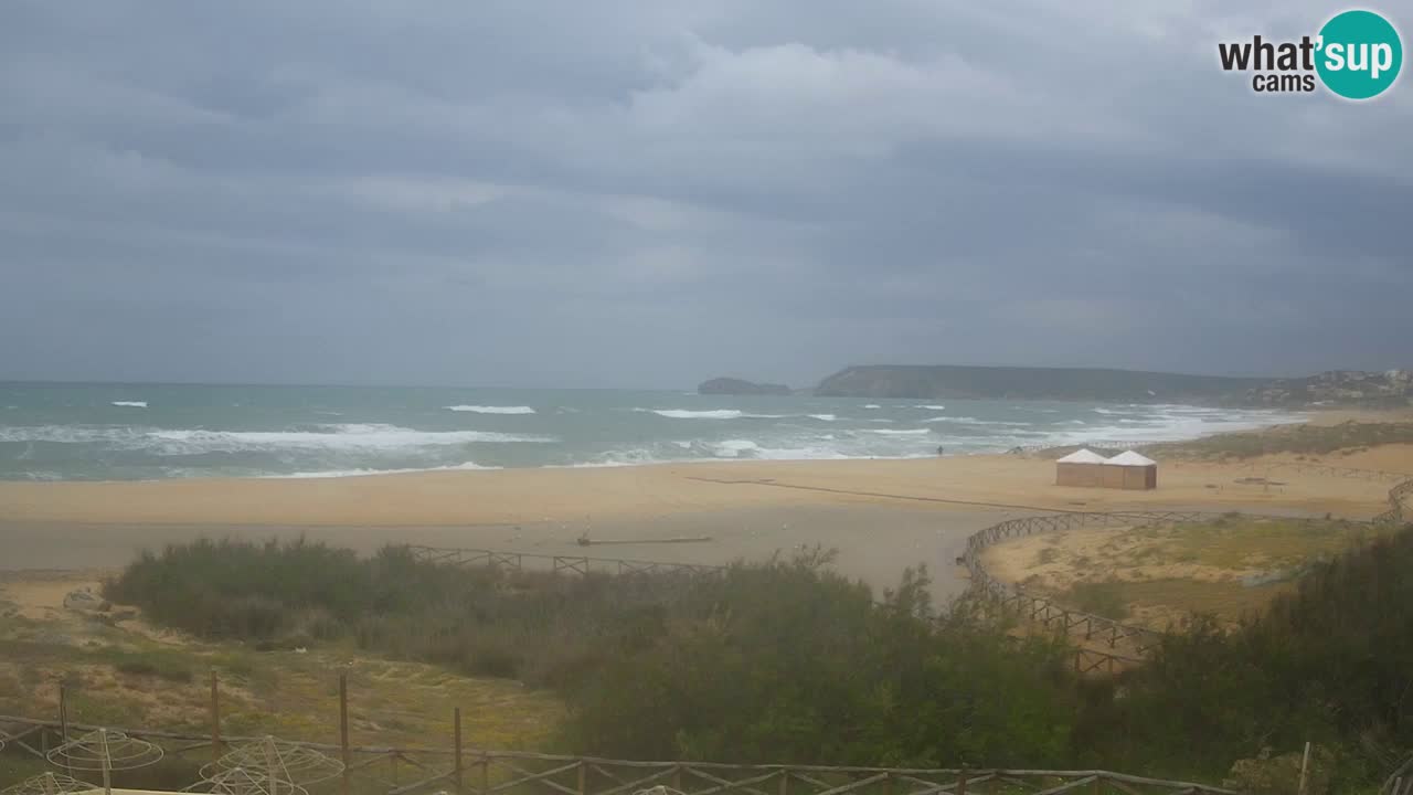 Web kamera Torre dei Corsari – Pogled uživo na plažu s Punta Usai