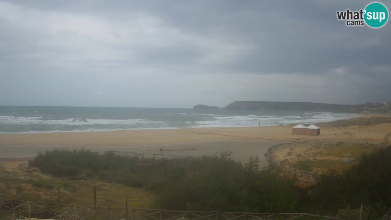 Webcam Torre dei Corsari – Live Beach View from Punta Usai