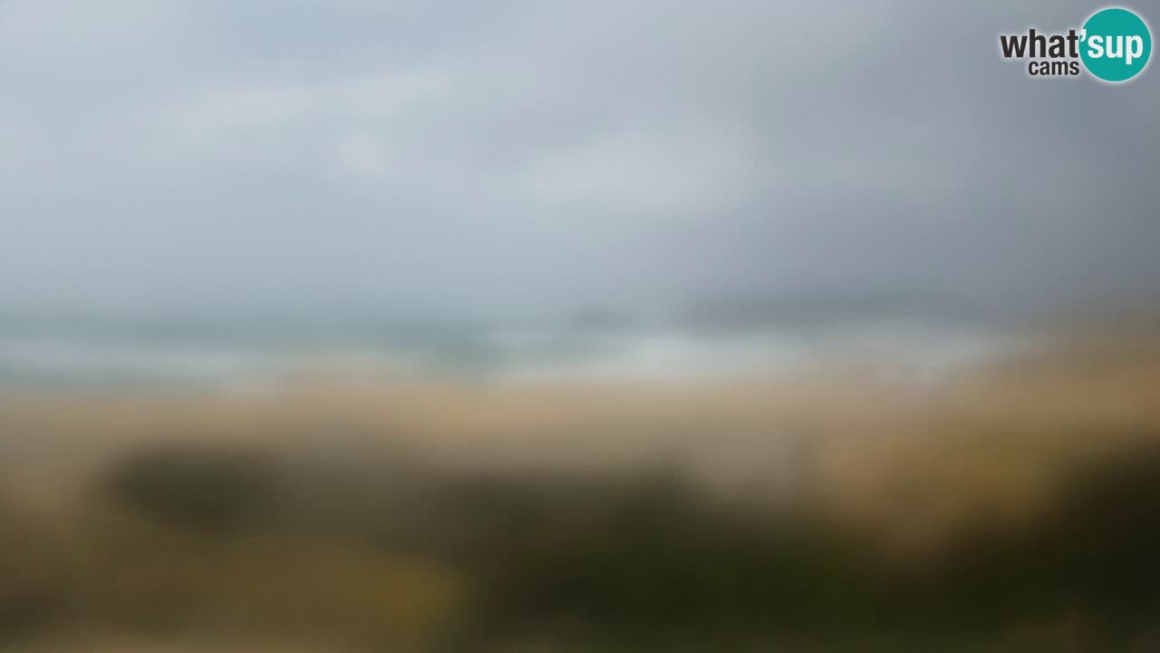 Webcam Torre dei Corsari – Live Beach View from Punta Usai