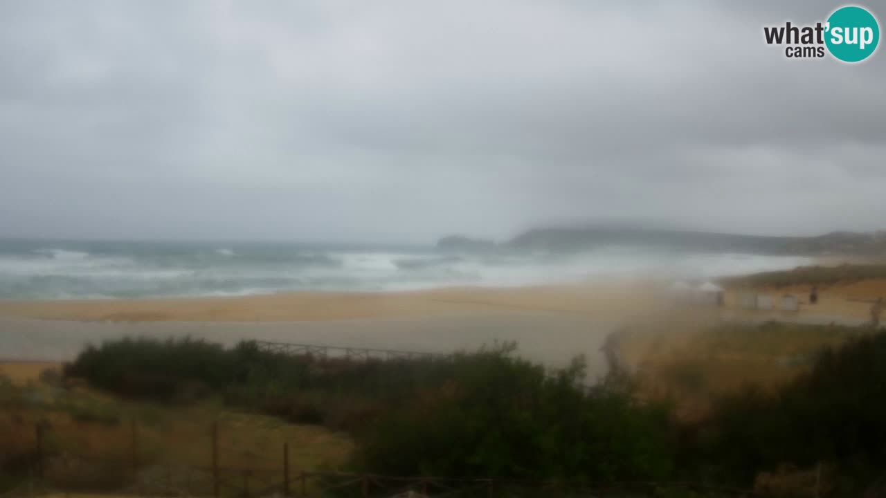 Webcam Torre dei Corsari – Live Beach View from Punta Usai