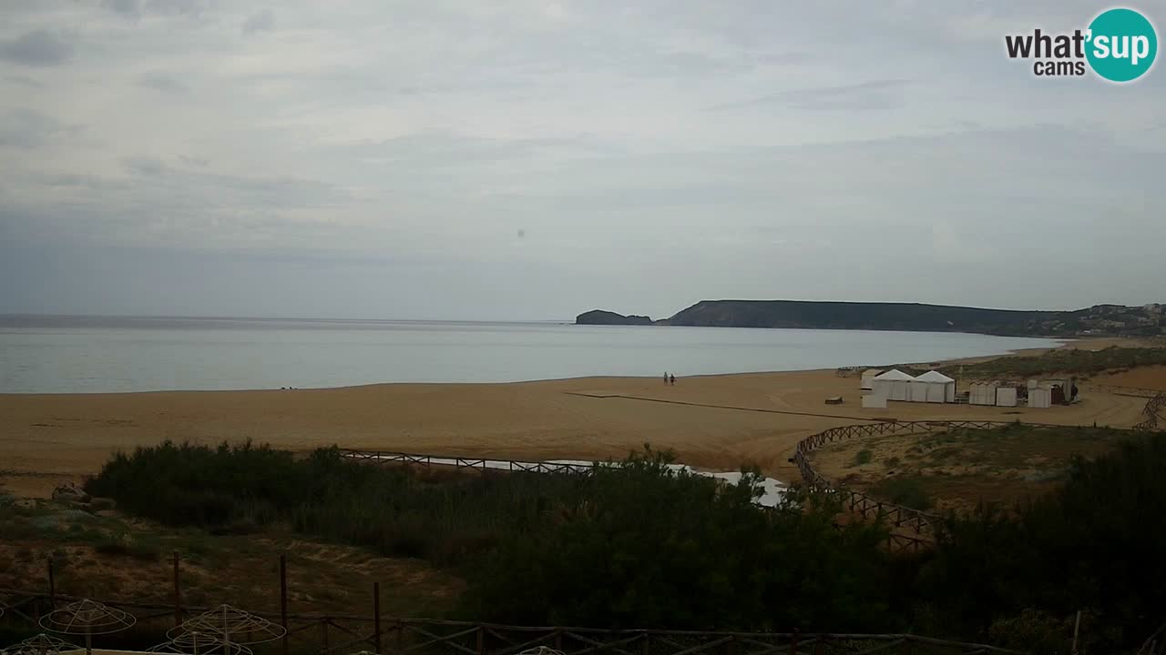 Webcam Torre dei Corsari – Live Beach View from Punta Usai
