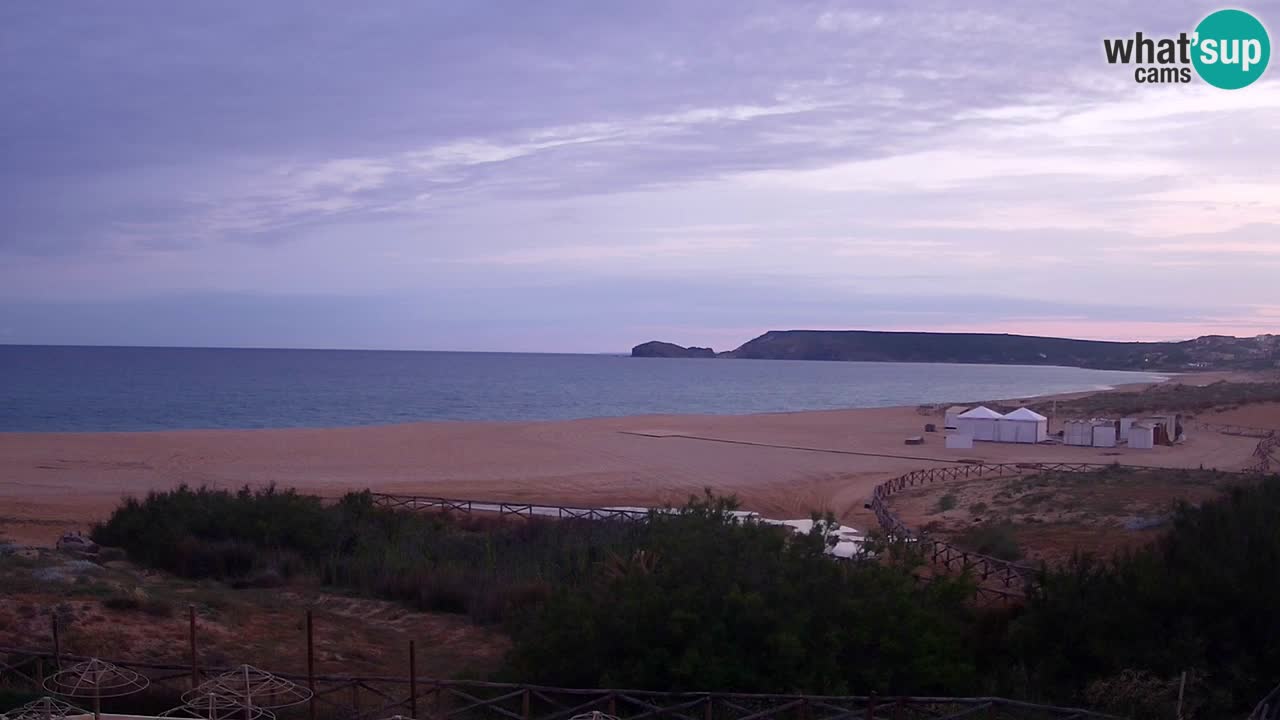 Webcam Torre dei Corsari – Live Beach View from Punta Usai