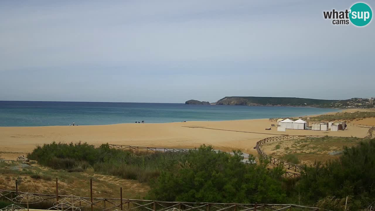 Webcam Torre dei Corsari – Live Beach View from Punta Usai