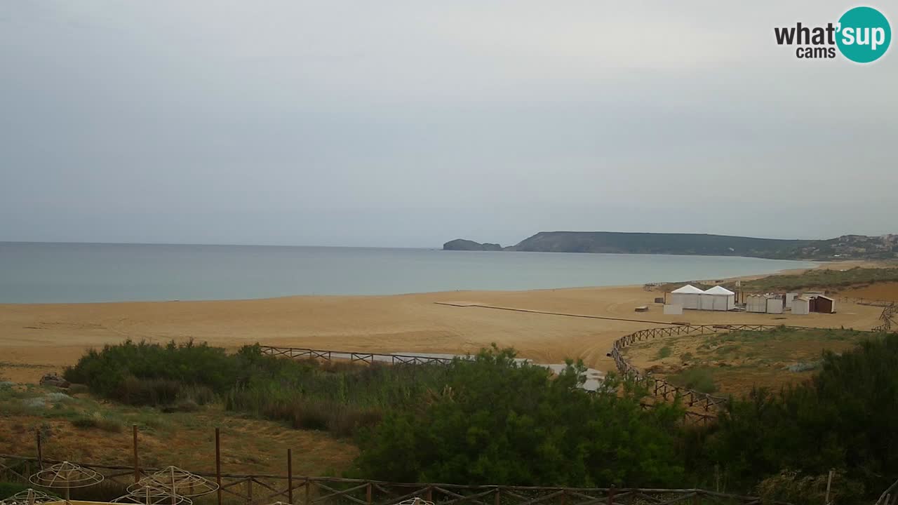 Webcam Torre dei Corsari – Live Beach View from Punta Usai