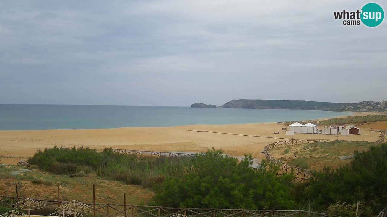 Webcam Torre dei Corsari – Live Beach View from Punta Usai