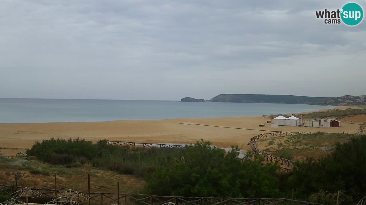 Webcam Torre dei Corsari – Live Beach View from Punta Usai