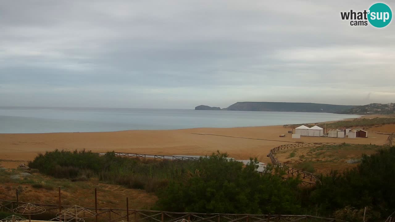 Webcam Torre dei Corsari – Live Beach View from Punta Usai