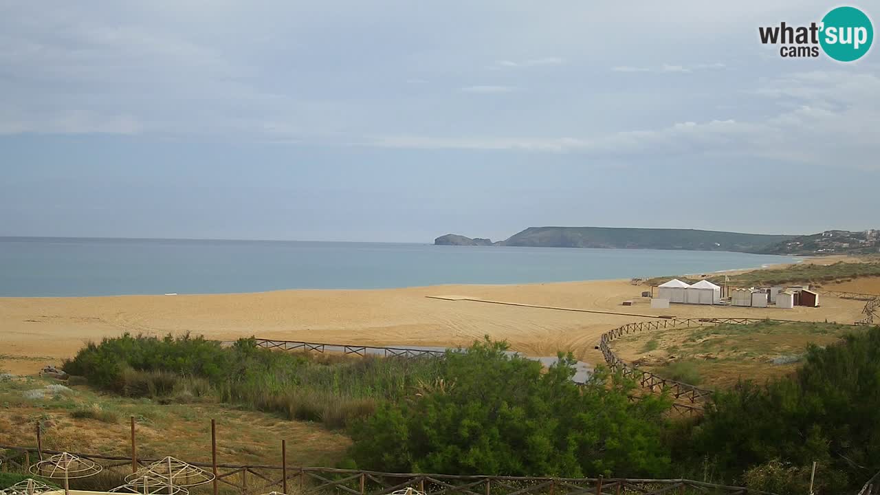 Webcam Torre dei Corsari – Live Beach View from Punta Usai