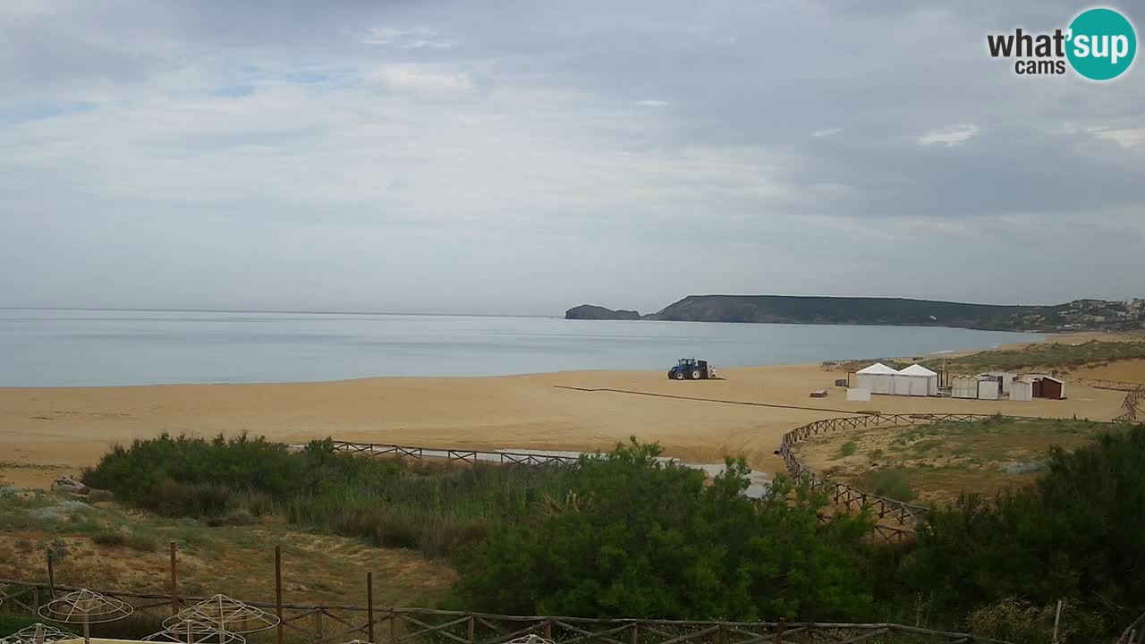Webcam Torre dei Corsari – Vue en direct sur la plage depuis Punta Usai