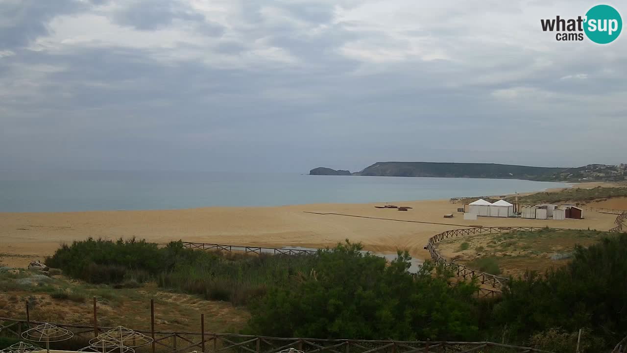Web kamera Torre dei Corsari – Pogled uživo na plažu s Punta Usai