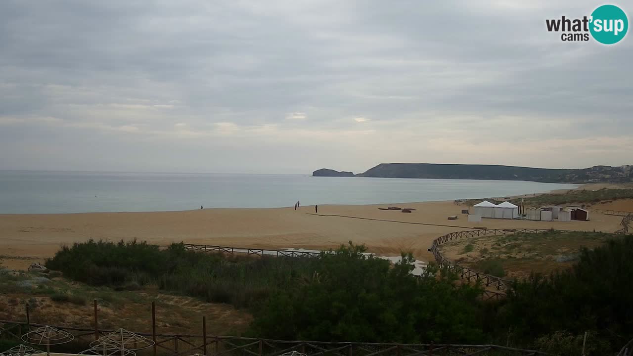 Webcam Torre dei Corsari – Live Beach View from Punta Usai