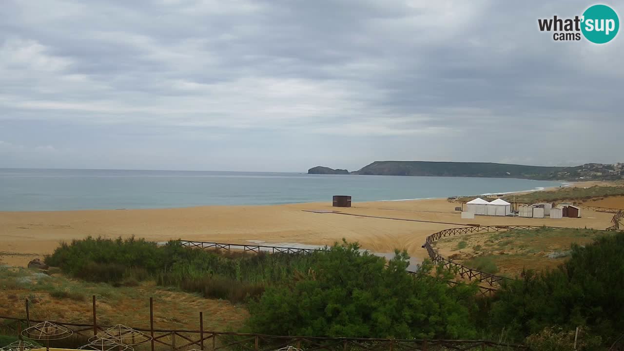 Webcam Torre dei Corsari – Live Beach View from Punta Usai
