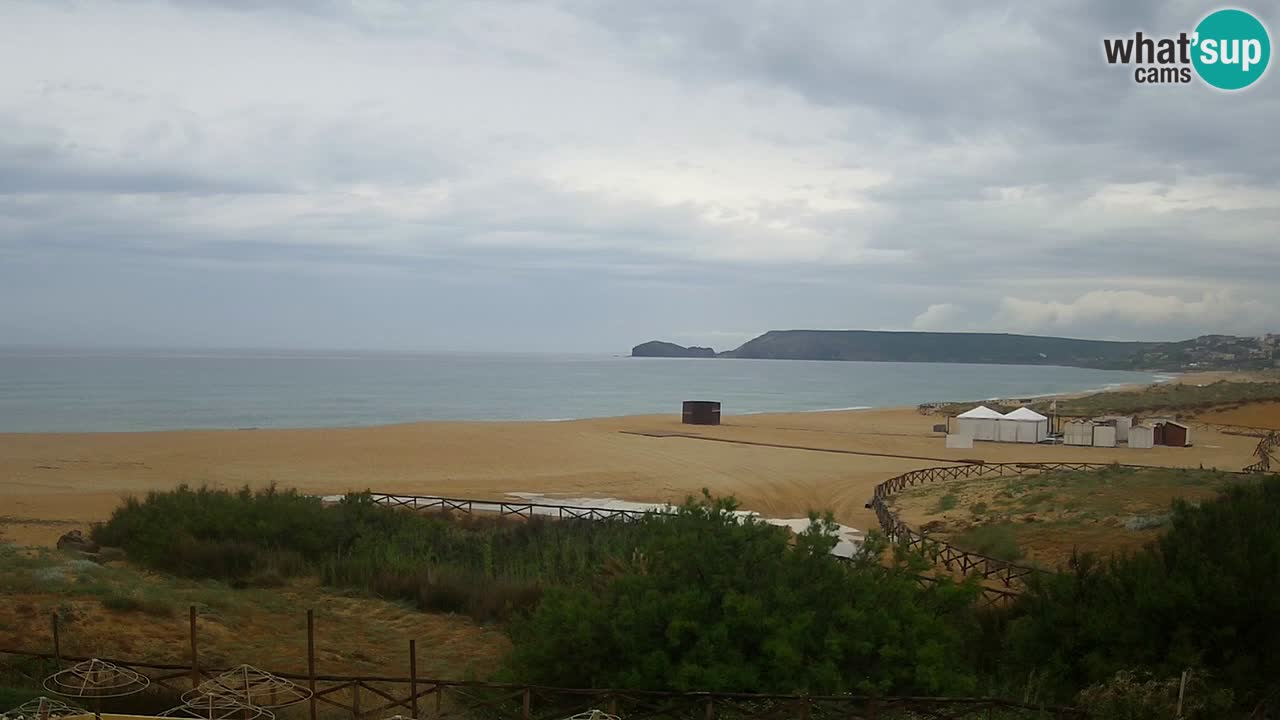 Webcam Torre dei Corsari – Live Beach View from Punta Usai