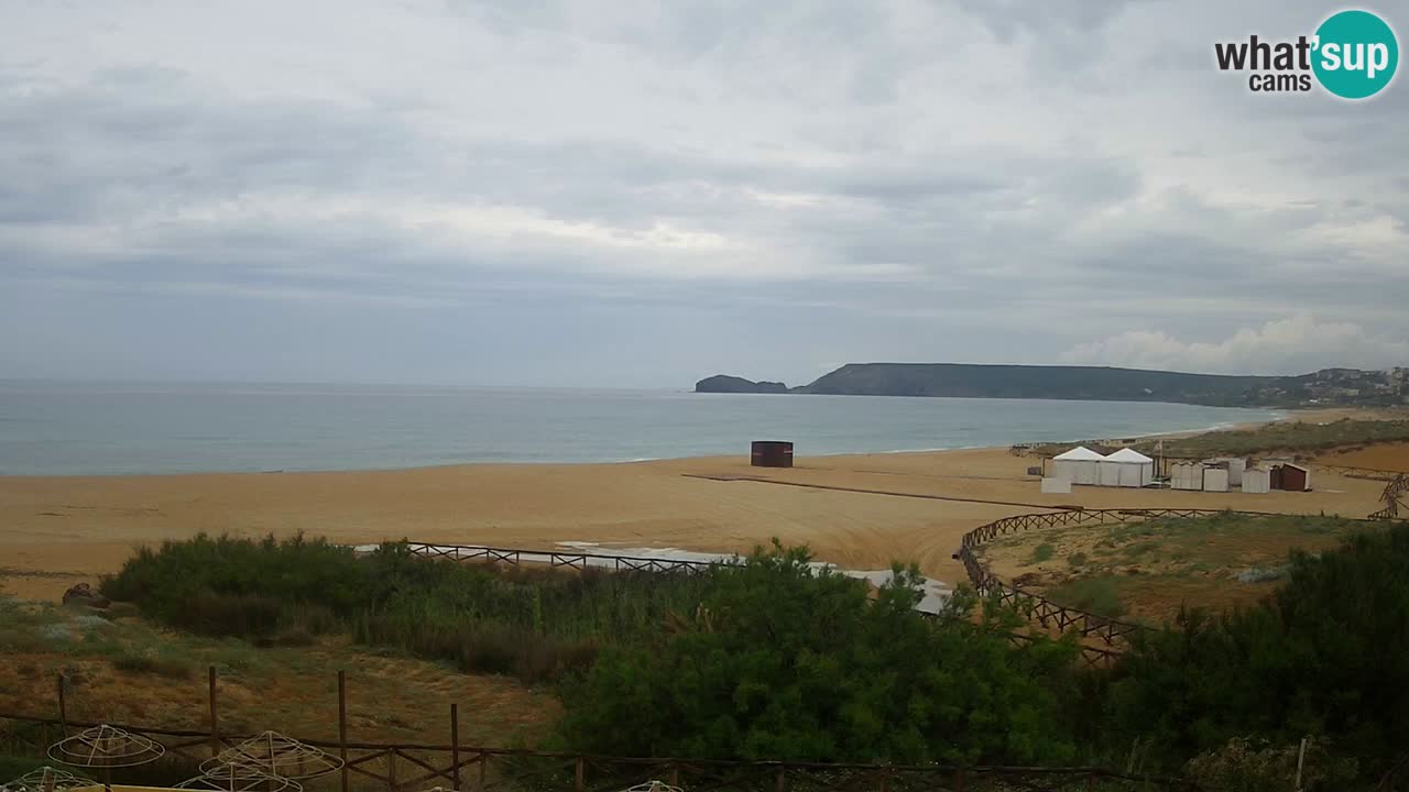 Webcam Torre dei Corsari – Live Beach View from Punta Usai