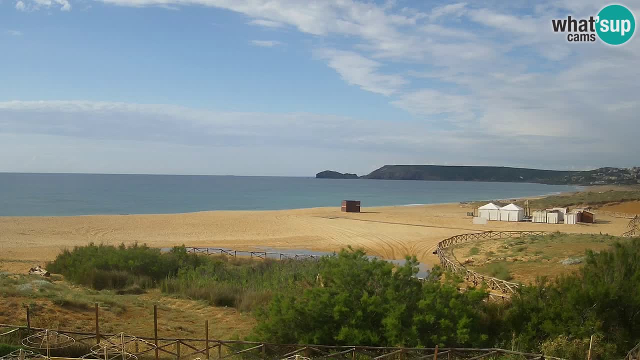 Webcam Torre dei Corsari – Live Beach View from Punta Usai