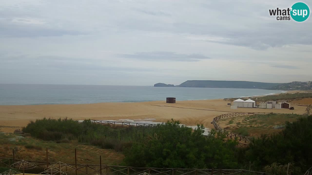 Webcam Torre dei Corsari – Live Beach View from Punta Usai