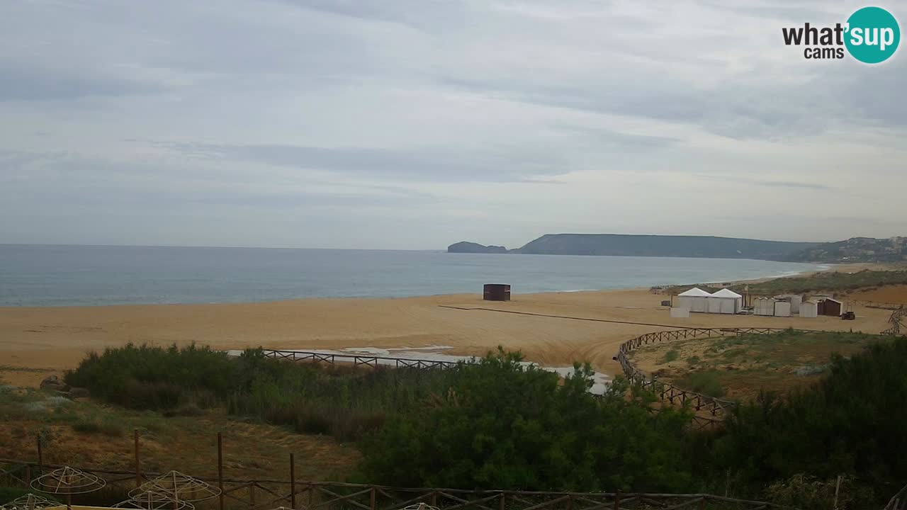 Webcam Torre dei Corsari – Live Beach View from Punta Usai
