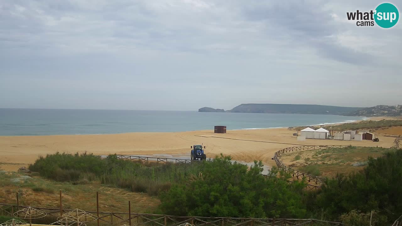 Webcam Torre dei Corsari – Live Beach View from Punta Usai