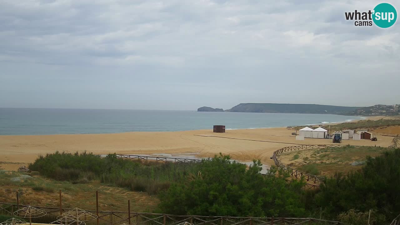 Webcam Torre dei Corsari – Vue en direct sur la plage depuis Punta Usai