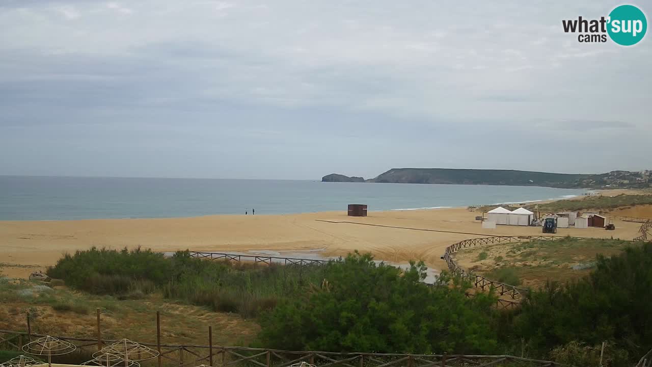 Webcam Torre dei Corsari – Live Beach View from Punta Usai