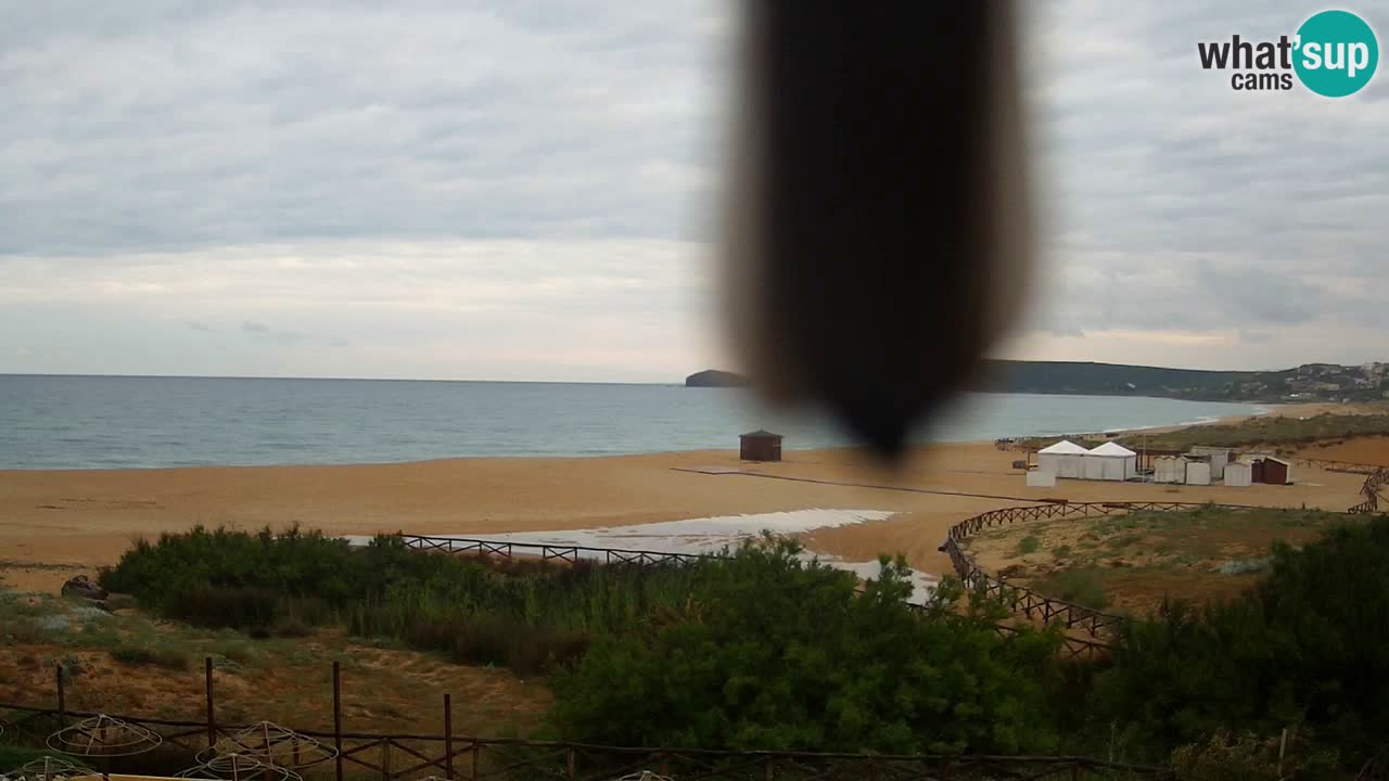 Webcam Torre dei Corsari – Vue en direct sur la plage depuis Punta Usai