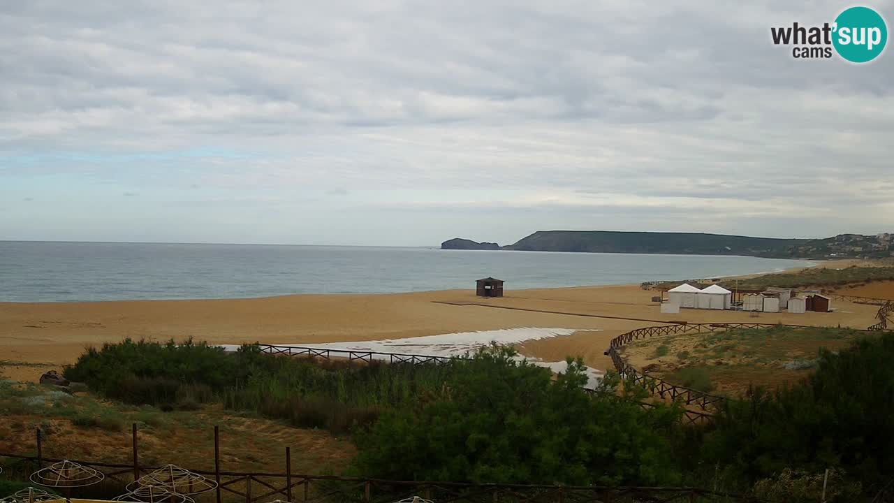 Webcam Torre dei Corsari – Live Beach View from Punta Usai