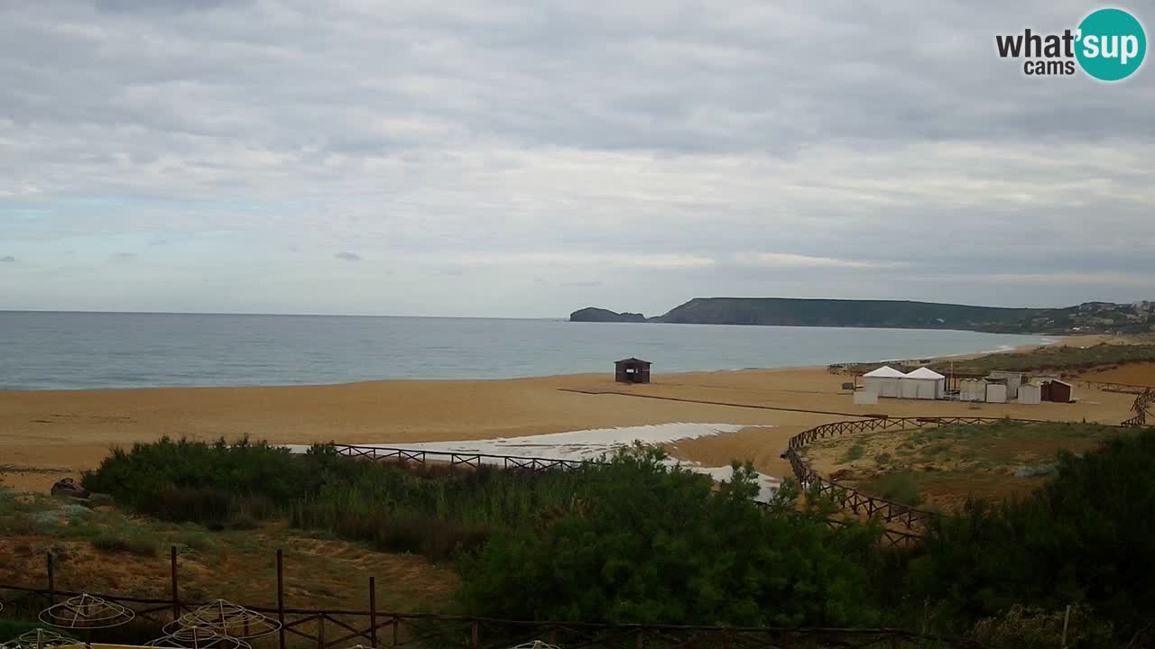 Webcam Torre dei Corsari – Live Beach View from Punta Usai