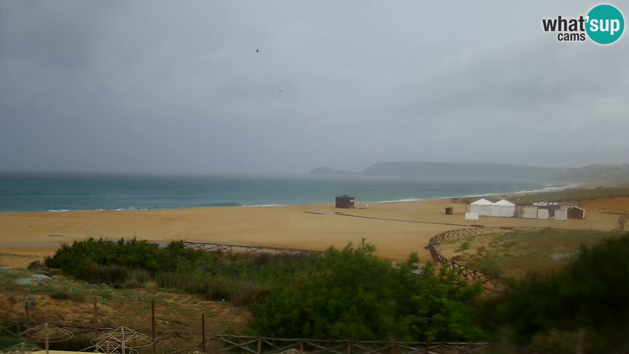 Webcam Torre dei Corsari – Live Beach View from Punta Usai