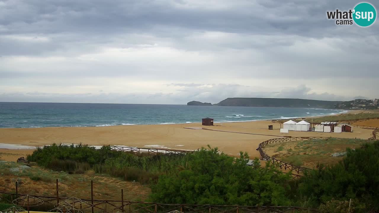 Webcam Torre dei Corsari – Live Beach View from Punta Usai
