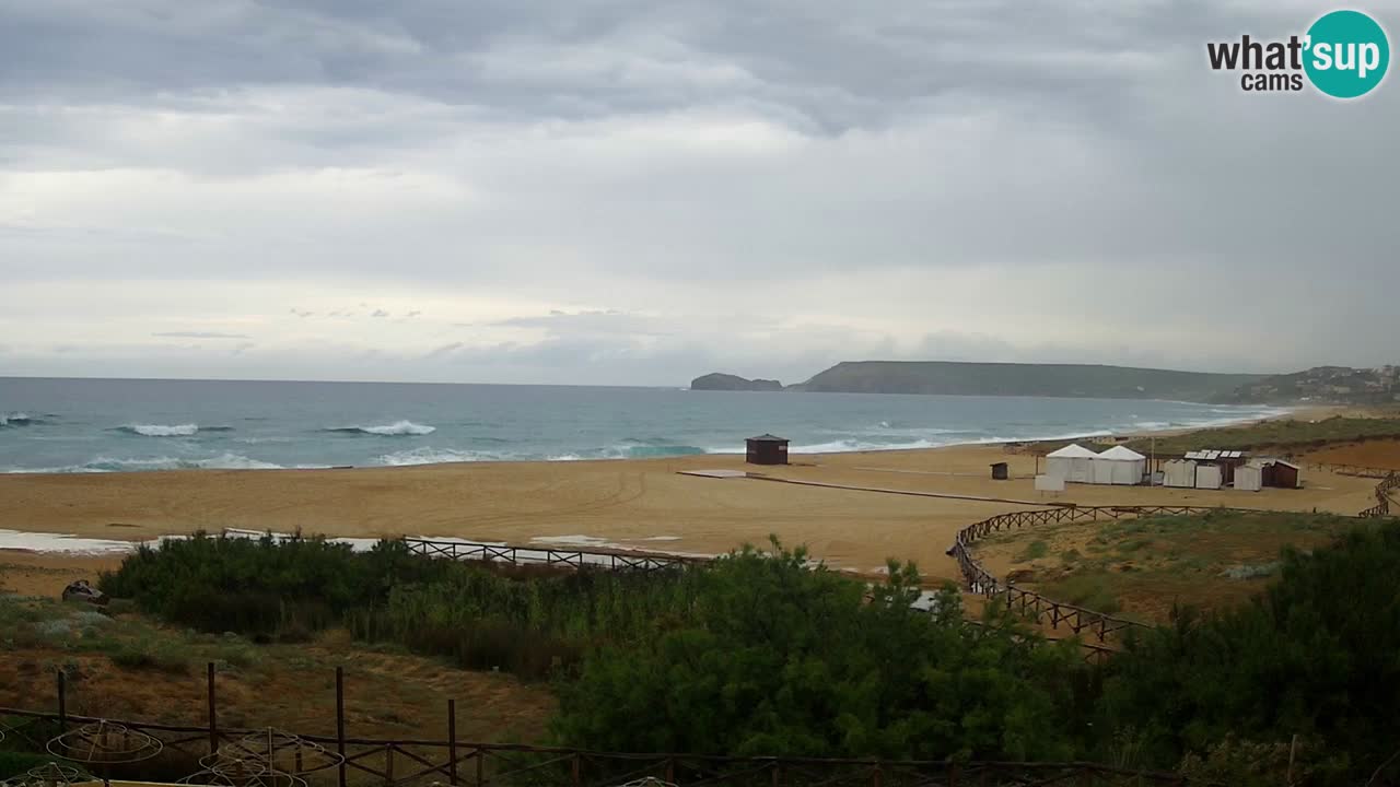 Webcam Torre dei Corsari – Live Beach View from Punta Usai
