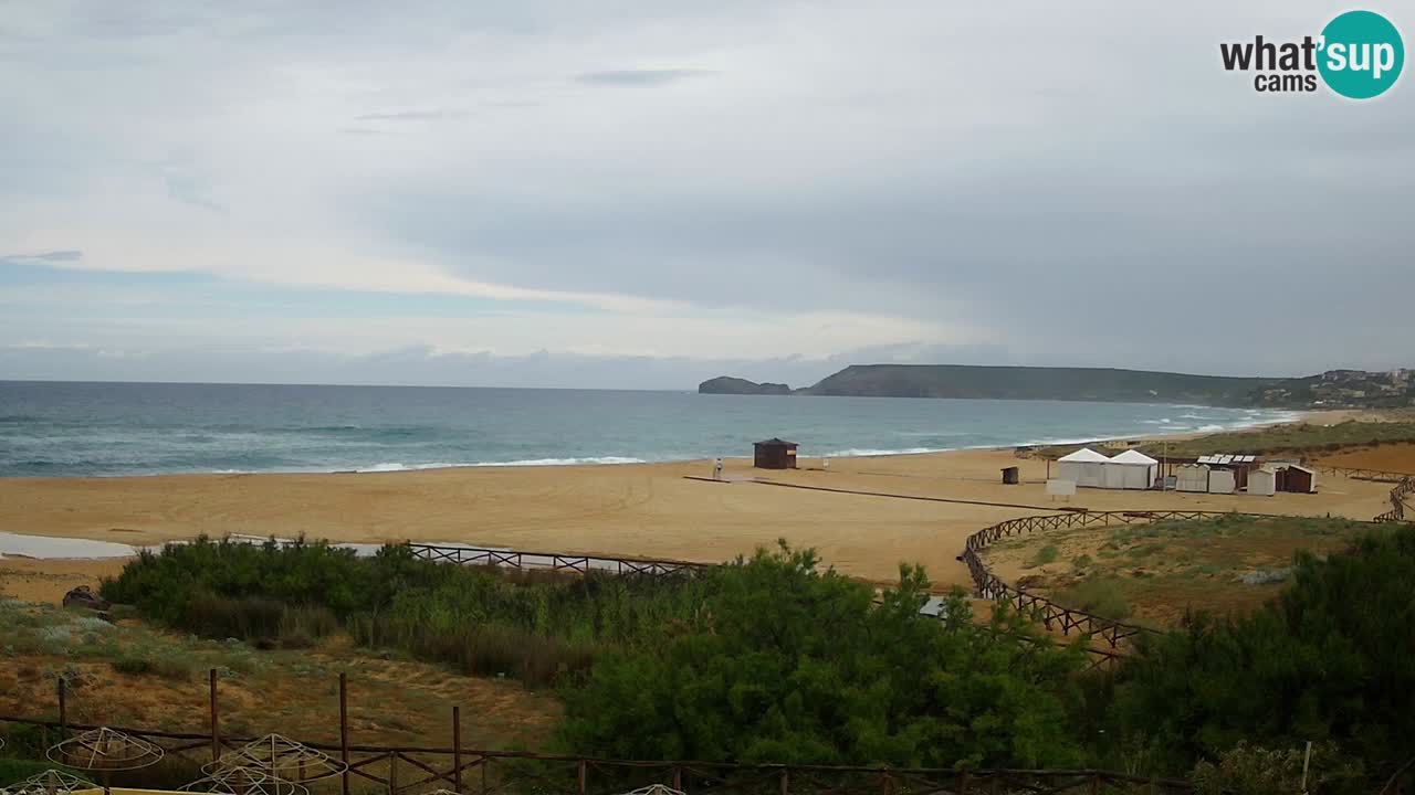 Webcam Torre dei Corsari – Live Beach View from Punta Usai