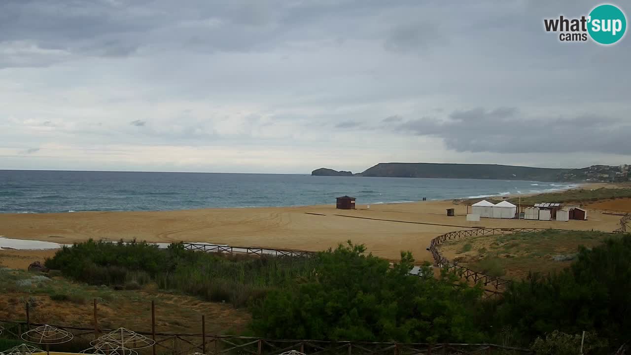 Webcam Torre dei Corsari – Live Beach View from Punta Usai