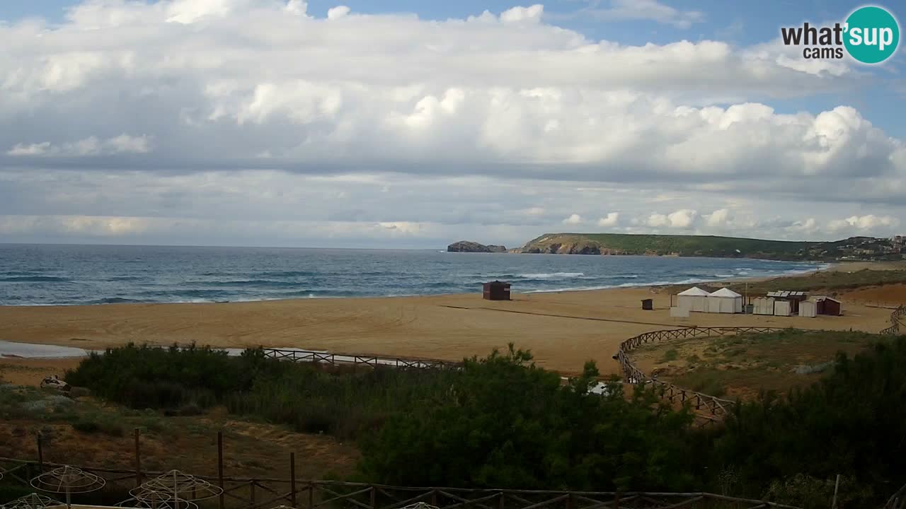 Webcam Torre dei Corsari – Live Beach View from Punta Usai