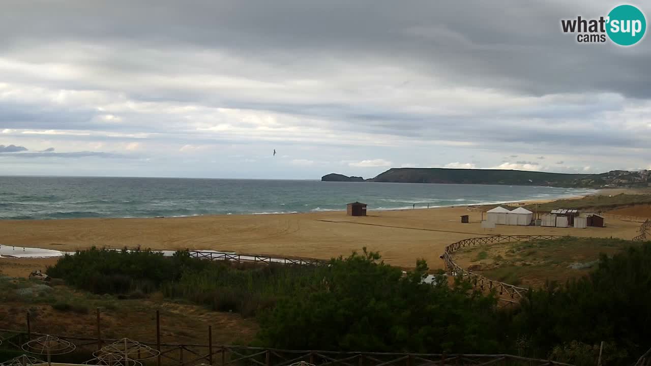 Webcam Torre dei Corsari – Vista live sulla spiaggia da Punta Usai