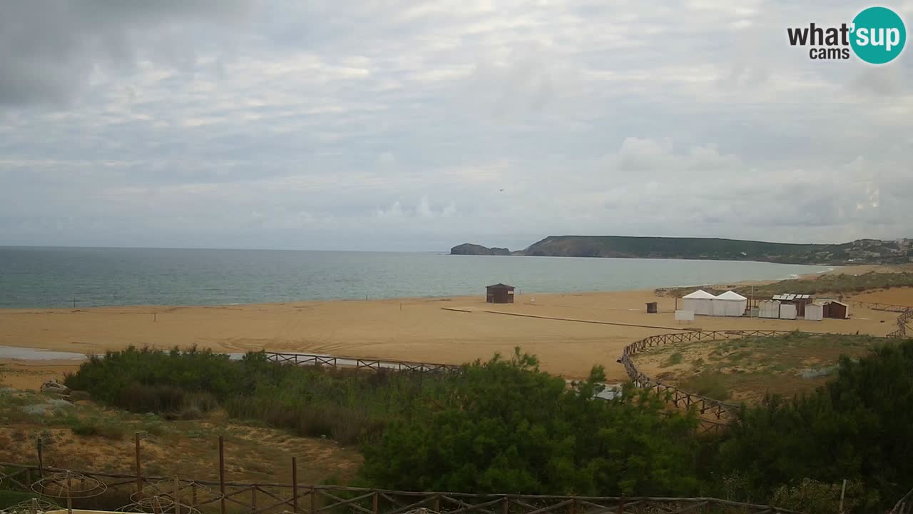 Webcam Torre dei Corsari – Live Beach View from Punta Usai
