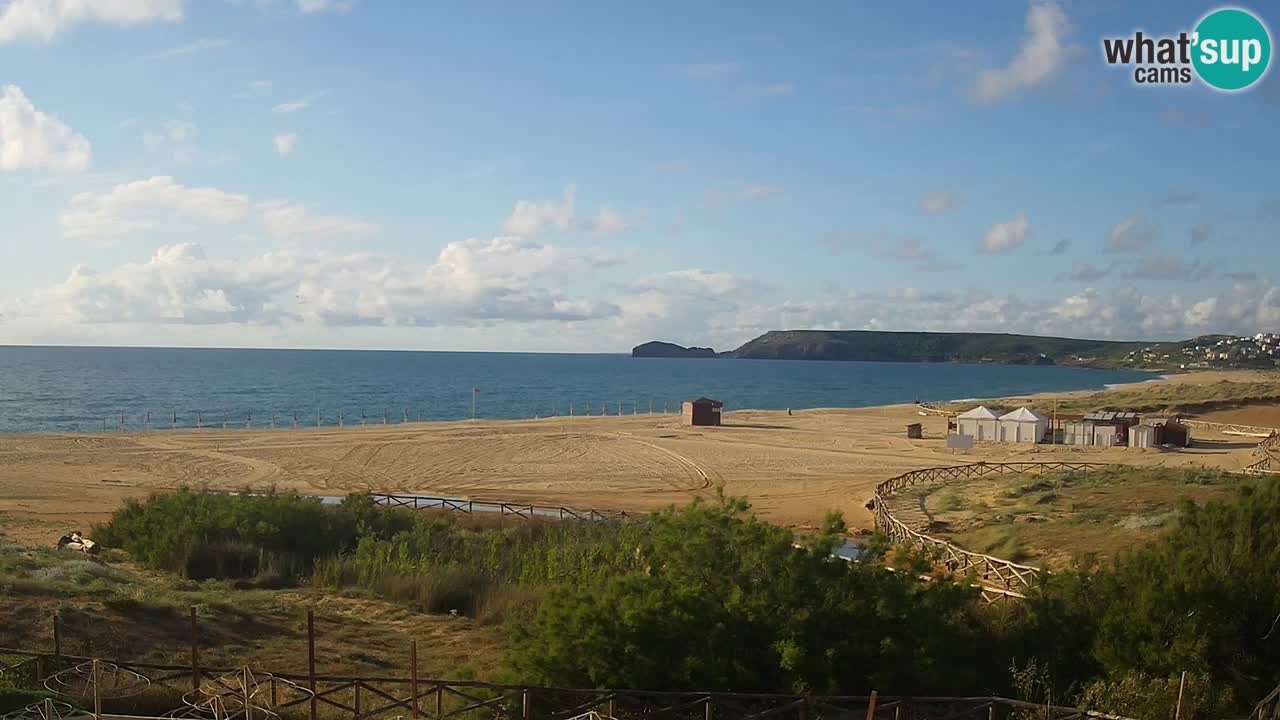 Webcam Torre dei Corsari – Live Beach View from Punta Usai