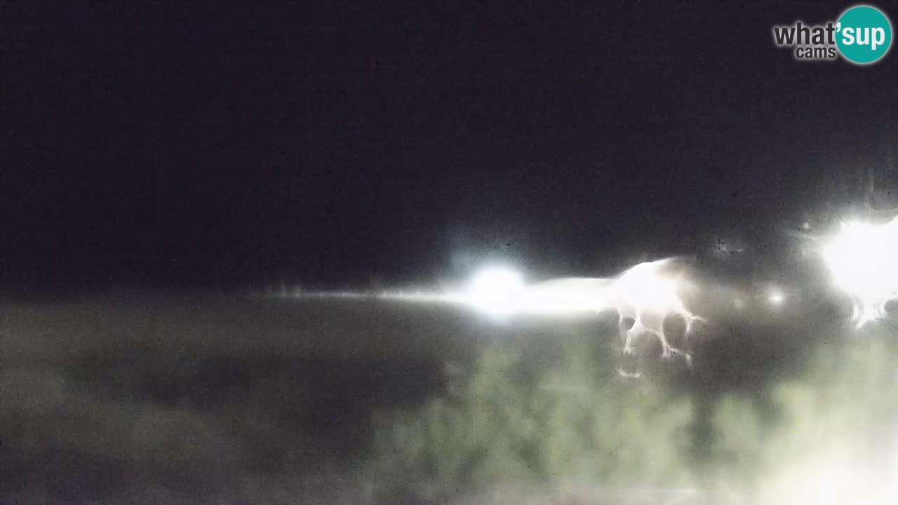 Webcam Torre dei Corsari – Live Beach View from Punta Usai