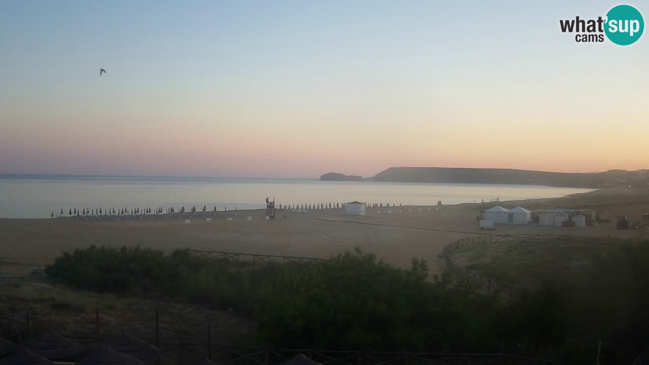 Webcam Torre dei Corsari – Live Beach View from Punta Usai