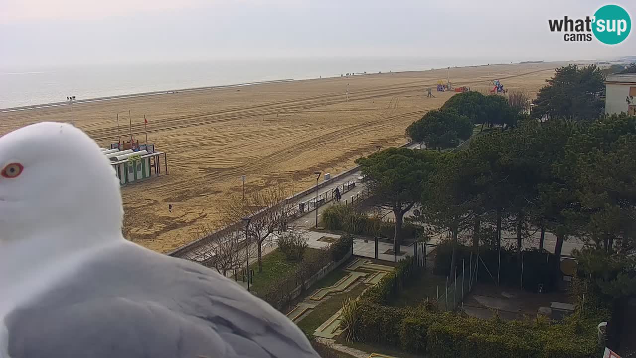 Live Webcam Bibione spiaggia – vista dall’Ashanti ApartHotel