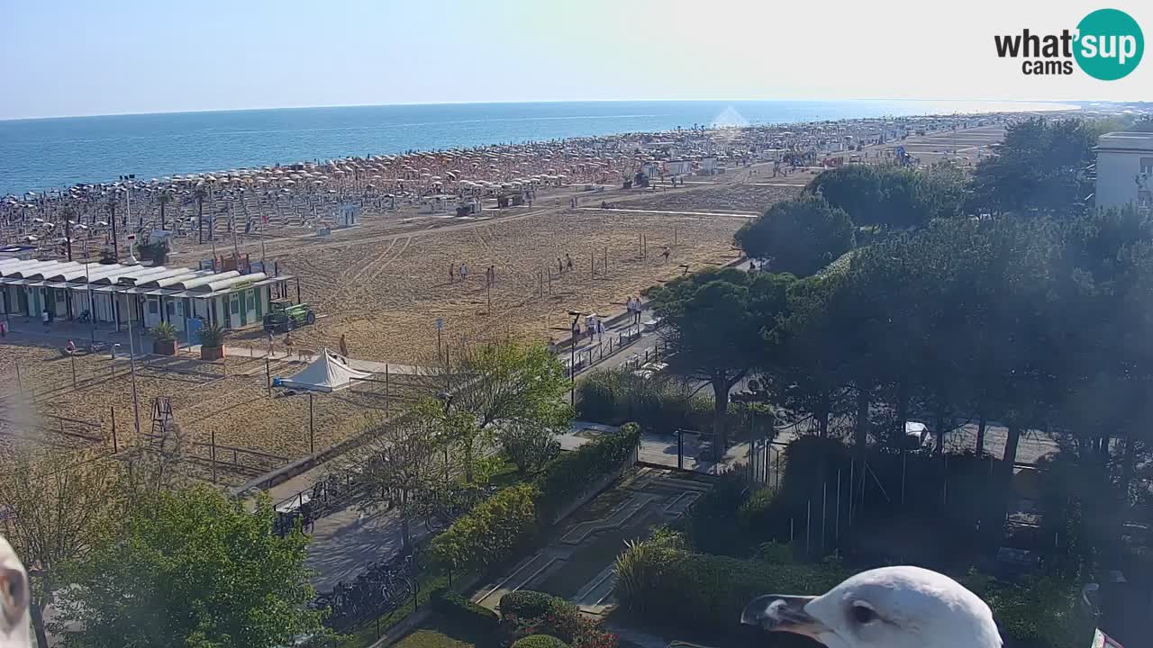 Spletna kamera Bibione plaža – pogled iz Ashanti ApartHotela