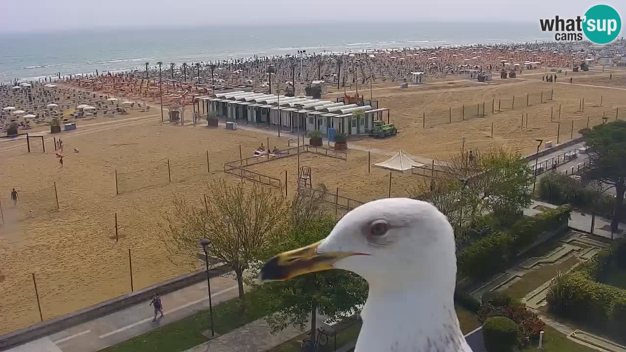 Web kamera Bibione plaža – pogled sa Ashanti ApartHotela