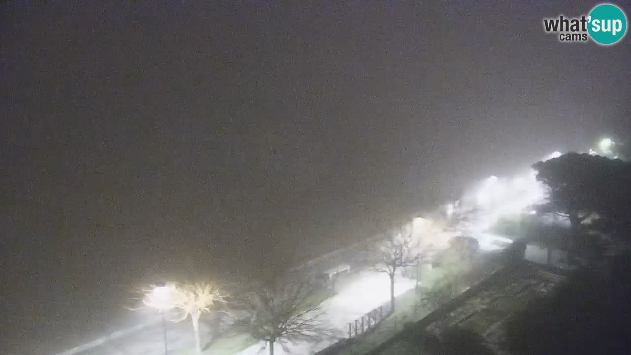 Webcam en vivo playa Bibione – vista desde Ashanti ApartHotel
